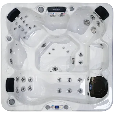 Avalon EC-849L hot tubs for sale in Live Oak