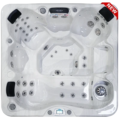 Avalon-X EC-849LX hot tubs for sale in Live Oak