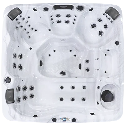 Avalon EC-867L hot tubs for sale in Live Oak