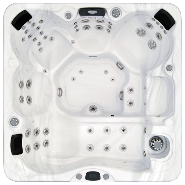 Avalon-X EC-867LX hot tubs for sale in Live Oak